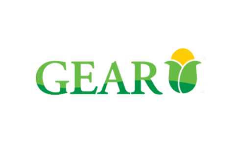 Gear